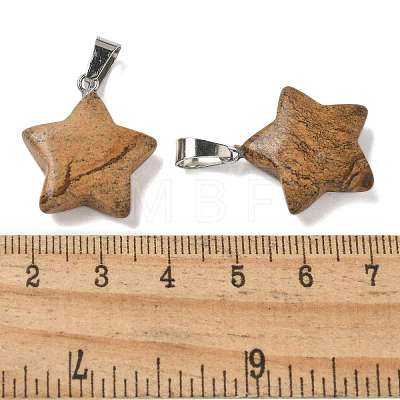 Natural Picture Jasper Pendants G-B127-12P-06-1