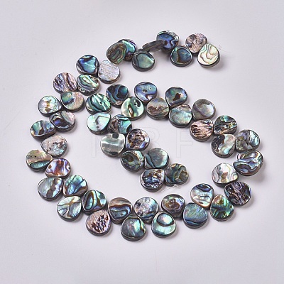 Abalone Shell/Paua Shell Beads Strands BSHE-L043-03-1