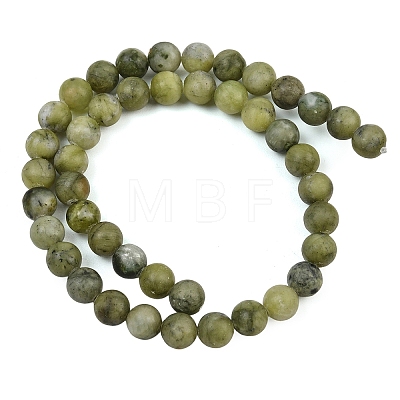 Natural Taiwan Jade Beads Strands X-GSR032-1