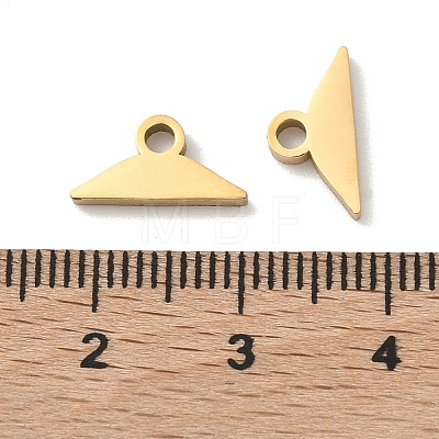 304 Stainless Steel Charm STAS-P433-12A-G-1