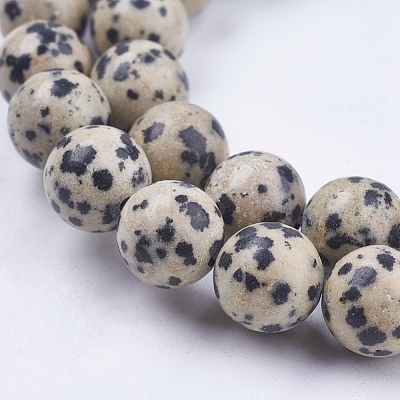 Natural Dalmatian Jasper Stone Bead Strands G-R193-14-10mm-1