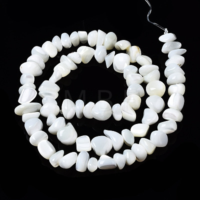 Natural Trochid Shell/Trochus Shell Beads Strands SSHEL-N034-78-A01-1