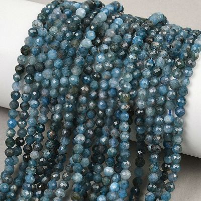 Natural Apatite Beads Strands G-P612-C-3mm-02-1