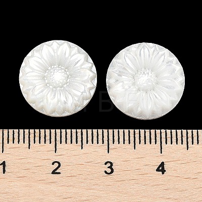 Natural Black Lip Shell Carved Cabochons SSHEL-I026-17A-1