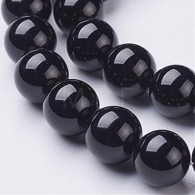 Natural Black Onyx Round Beads Strands GSR10mmC097-1