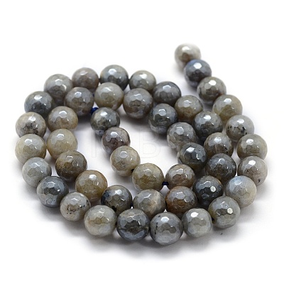Natural Labradorite Beads Strands G-P385-01-8mm-1