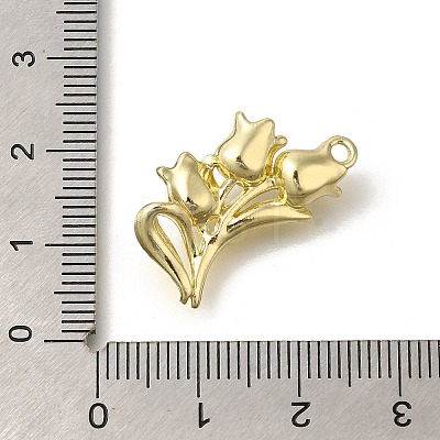 Alloy Pendants FIND-Z067-05G-05-1