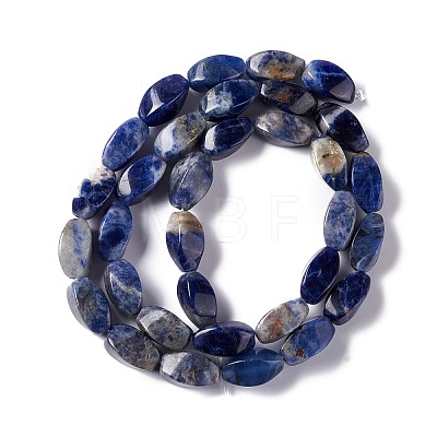 Natural Sodalite Beads Strands G-L243B-18-1