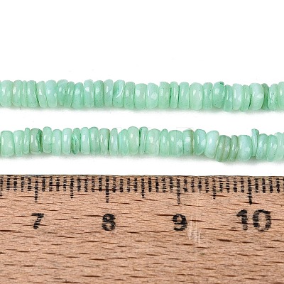 Natural Freshwater Shell Beads Strands SHEL-Q028-01F-1