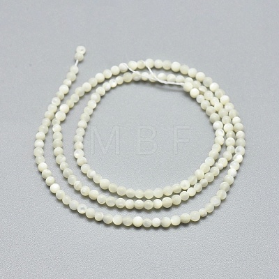 Natural White Shell Beads Strands G-A177-04-25-1