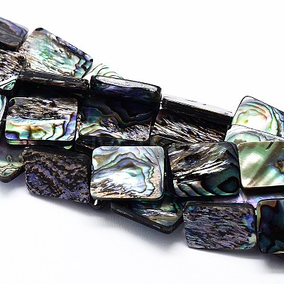 Natural Paua Shell Beads Strands SSHEL-J047-10A-01-1