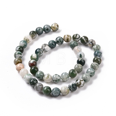 Natural Tree Agate Beads Strands G-K194-6mm-02-1