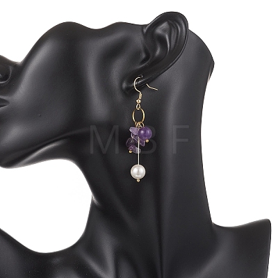 2 Pairs Natural Amethyst & Lapis Lazuli Dangle Earrings EJEW-JE06829-1