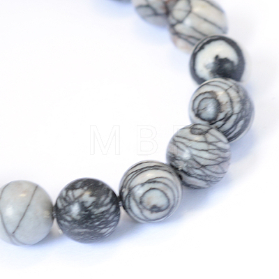 Natural Black Silk Stone/Netstone Round Bead Strands X-G-E334-10mm-05-1