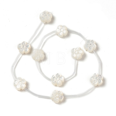 Natural White Shell Mother of Pearl Shell Beads BSHE-B005-04-1