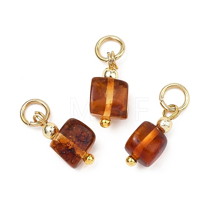 Natural Amber Pendants PALLOY-JF05273-1