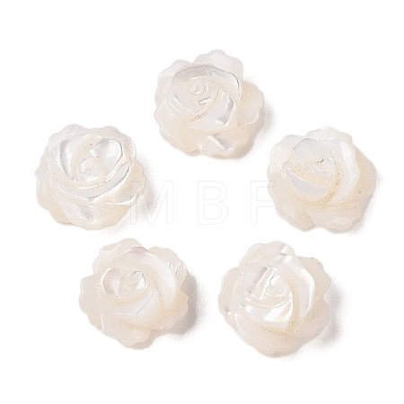 Natural White Shell Beads SSHEL-C012-06-1