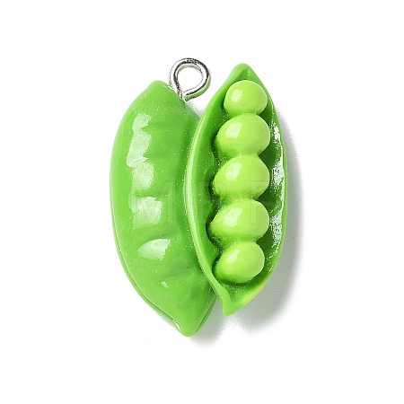 Resin Iron Pendants RESI-D280-09-1