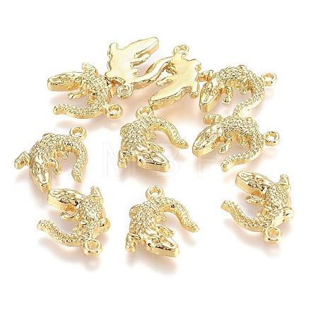 Alloy Pendants X-TIBEP-A040-015G-NR-1