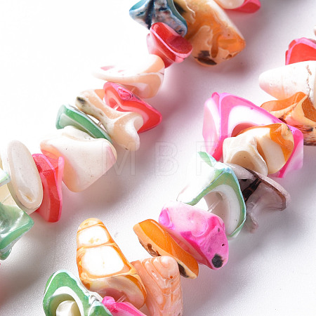 Natural Trochid Shell/Trochus Shell Bead Strands SSHEL-N034-105-A04-1