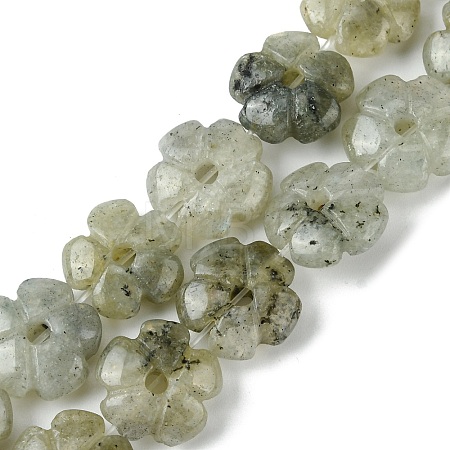 Natural Labradorite Beads Strands G-H023-B19-01-1