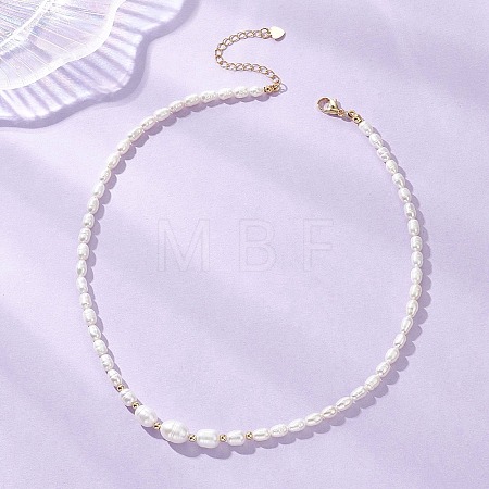 Natural Cultured Freshwater Pearl Necklaces for Women NJEW-JN05940-1