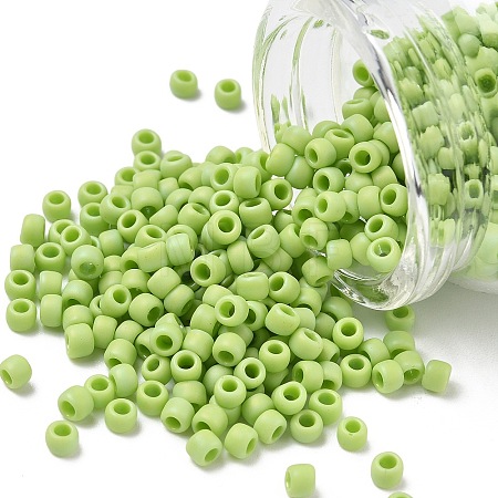 TOHO 6/0 Round Beads SEED-XTR06-0404F-1
