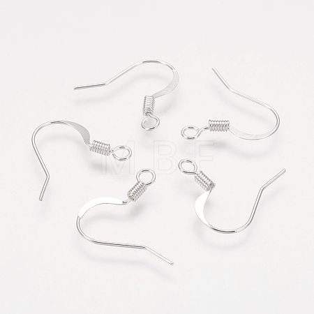Brass French Earring Hooks KK-Q366-S-NF-1