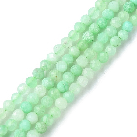 Natural Chrysoprase Beads Strands G-F748-X01-02A-1