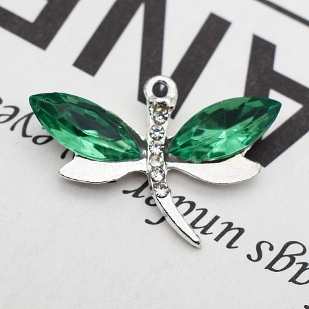 Alloy Rhinestones Charms FIND-SX0001-040-1
