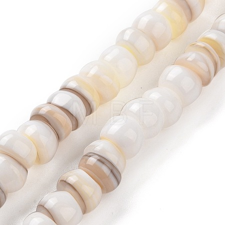 Natural Cultured Freshwater Shell Beads Strands SHEL-F002-01D-1