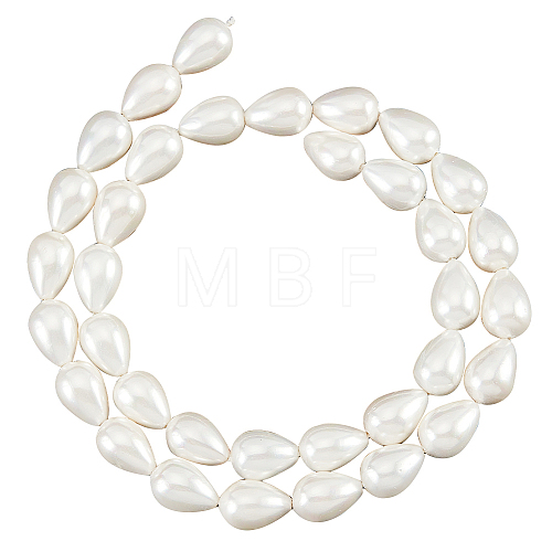  1 Strands Natural Shell Beads Strands BSHE-NB0001-25-1