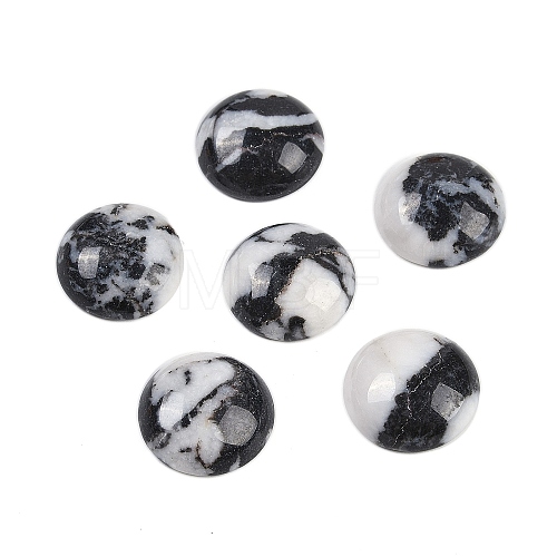 Natural Zebra Jasper Cabochons G-T020-18mm-29-1