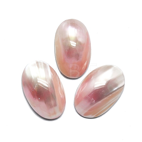 Natural Shell Cabochons SHEL-K008-07B-1