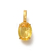 Ion Plating(IP) 304 Stainless Steel Rhinestone Pendants STAS-A104-11G-07-1