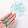 11/0 Grade A Round Glass Seed Beads SEED-N001-E-318-4