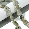 Natural Labradorite Beads Strands G-H023-B19-01-2