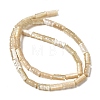 Natural Trochid Shell/Trochus Shell Beads Strands SHEL-A006-06B-2