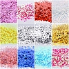 Holographic Nail Art Sequins Glitter MRMJ-K006-08-M-2