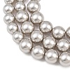 Electroplated Glass Pearl Graduated Beads Strands BSHE-C011-03D-4