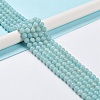 Grade A Natural Amazonite Beads Strands G-C046-01B-2