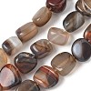 Natural Agate Beads Strands G-H295-D01-16-2
