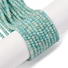 Faceted Rondelle Natural Amazonite Bead Strands G-F289-06A-1