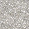 (Repacking Service Available) Glass Seed Beads SEED-C015-3mm-101-2