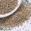 MIYUKI Delica Beads X-SEED-J020-DB0411-1