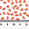 FGB 2-Hole Glass Seed Beads SEED-S031-M-SH50-2