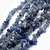Natural Blue Aventurine Beads Strands G-P332-15-1