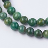 Natural African Jade Beads Strands G-F560-6mm-B01-3