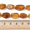 Natural Amber Beads Strands G-L095-C01-04-5