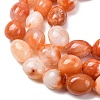 Natural Red Botswana Agate Beads Strands G-G117-A05-06-3